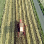 02.08.2017 Huta Podłysica. Pole Grzegorza Czerneckiego / Jarosław Kubalski - Radio Kielce