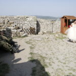 11.08.2017 Chęciny. Ślub na zamku wzięli Paulina Suchorabska i Miron Tkacz. Jest to pierwszy ślub pośród ruin zamku. / Jarosław Kubalski - Radio Kielce / Pierwszy ślub na zamku w Chęcinach