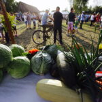 15.08.2017 Zrecze Chałupczańskie. Dożynki gminy Chmielnik. / Jarosław Kubalski - Radio Kielce / Dożynki w Zreczu Chałupczańskim.