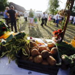 15.08.2017 Zrecze Chałupczańskie. Dożynki gminy Chmielnik. / Jarosław Kubalski - Radio Kielce / Dożynki w Zreczu Chałupczańskim.