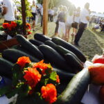 15.08.2017 Zrecze Chałupczańskie. Dożynki gminy Chmielnik. / Jarosław Kubalski - Radio Kielce / Dożynki w Zreczu Chałupczańskim.