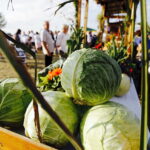 15.08.2017 Zrecze Chałupczańskie. Dożynki gminy Chmielnik. / Jarosław Kubalski - Radio Kielce / Dożynki w Zreczu Chałupczańskim.