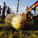 15.08.2017 Zrecze Chałupczańskie. Dożynki gminy Chmielnik. / Jarosław Kubalski - Radio Kielce / Dożynki w Zreczu Chałupczańskim.