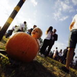 15.08.2017 Zrecze Chałupczańskie. Dożynki gminy Chmielnik. / Jarosław Kubalski - Radio Kielce / Dożynki w Zreczu Chałupczańskim.