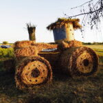 15.08.2017 Zrecze Chałupczańskie. Dożynki gminy Chmielnik. Dekoracje we wsi. / Jarosław Kubalski - Radio Kielce / Dożynki w Zreczu Chałupczańskim.