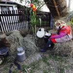 15.08.2017 Zrecze Chałupczańskie. Dożynki gminy Chmielnik. Dekoracje we wsi. / Jarosław Kubalski - Radio Kielce / Dożynki w Zreczu Chałupczańskim.