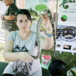 27.08.2017 Tokarnia. „Niedziela ze świętym Franciszkiem” w Parku Etnograficznym. Waż preriowy. / Jarosław Kubalski  /  Radio Kielce / „Niedziela ze świętym Franciszkiem” w Tokarni.