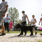 27.08.2017 Tokarnia. „Niedziela ze świętym Franciszkiem” w Parku Etnograficznym. / Jarosław Kubalski  /  Radio Kielce / „Niedziela ze świętym Franciszkiem” w Tokarni.