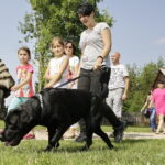 27.08.2017 Tokarnia. „Niedziela ze świętym Franciszkiem” w Parku Etnograficznym. / Jarosław Kubalski  /  Radio Kielce / „Niedziela ze świętym Franciszkiem” w Tokarni.