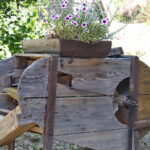 09.08.2017 Bałtów. Letni Raport Dnia / Krzysztof Bujnowicz - Radio Kielce / Bałtów