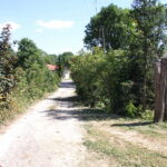 09.08.2017 Bałtów. Letni Raport Dnia / Krzysztof Bujnowicz - Radio Kielce / Bałtów