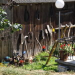 09.08.2017 Bałtów. Letni Raport Dnia / Krzysztof Bujnowicz - Radio Kielce / Bałtów