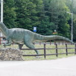 09.08.2017 Bałtów. Letni Raport Dnia / Krzysztof Bujnowicz - Radio Kielce / Bałtów