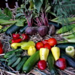 21.08.2017 Raport Dnia - Nieprowice. Gospodarstwo Agroturystyczne Celtyckie / Krzysztof Bujnowicz - Radio Kielce / Gospodarstwo Agroturystyczne Celtyckie w Nieprowicach