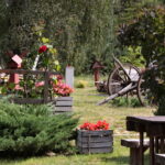 24.08.2017 Raport Dnia. Gospodarstwo rybackie "Stawy" / Krzysztof Bujnowicz - Radio Kielce / Raport Dnia. Gospodarstwo rybackie "Stawy"