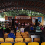 Opatów. Święto "Krówki Opatowskiej" (20.08.2017) / Emilia Sitarska  - Radio Kielce / Opatów. Święto "Krówki Opatowskiej" (20.08.2017)