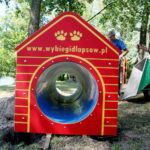 01.08.2017 Kielce. Budowa parku dla psów nad kieleckim zalewem. / Marzena Mąkosa - Radio Kielce / Park dla psów