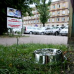 02.08.2017 Kielce. Miski z wodą dla psów. / Marzena Mąkosa - Radio Kielce / Miski z wodą dla psów w ogródku Jordanowskim przy ulicy Paderewskiego.