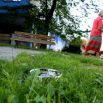 02.08.2017 Kielce. Miski z wodą dla psów. / Marzena Mąkosa - Radio Kielce / Miski z wodą dla psów na Skwerze Żeromskiego od ul. Wesołej