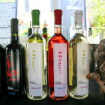 05.08.2017 Busko - Zdrój. Świętokrzyski Festiwal Wina. / Marzena Mąkosa - Radio Kielce / Wina na Festiwalu Wina w Busku - Zdroju