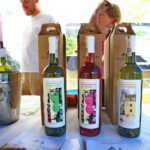 05.08.2017 Busko - Zdrój. Świętokrzyski Festiwal Wina. / Marzena Mąkosa - Radio Kielce / Wina na Festiwalu Wina w Busku - Zdroju