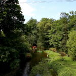 05.08.2017 Morawica. Spływ kajakowy Nidą. / Marzena Mąkosa - Radio Kielce / Spływ kajakowy Nidą