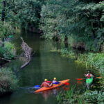 05.08.2017 Morawica. Spływ kajakowy Nidą. / Marzena Mąkosa - Radio Kielce / Spływ kajakowy Nidą