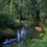 05.08.2017 Morawica. Spływ kajakowy Nidą. / Marzena Mąkosa - Radio Kielce / Spływ kajakowy Nidą