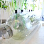 18.08.2017 Kielce. Instytut Diznajnu. System upraw hydroponicznych / Marzena Mąkosa - Radio Kielce / 18.08.2017 Kielce. Instytut Diznajnu. System upraw hydroponicznych