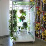 18.08.2017 Kielce. Instytut Diznajnu. System upraw hydroponicznych / Marzena Mąkosa - Radio Kielce / 18.08.2017 Kielce. Instytut Diznajnu. System upraw hydroponicznych