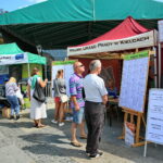 29.08.2017 Kielce. Targi pracy na kieleckim Rynku. / Marzena Mąkosa - Radio Kielce / Targi pracy na kieleckim Rynku