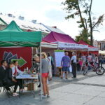 29.08.2017 Kielce. Targi pracy na kieleckim Rynku. / Marzena Mąkosa - Radio Kielce / Targi pracy na kieleckim Rynku