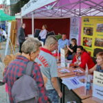 29.08.2017 Kielce. Targi pracy na kieleckim Rynku. / Marzena Mąkosa - Radio Kielce / Targi pracy na kieleckim Rynku