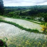 (19.08.2017) Muzyczne podróże. Bali. / Ola Gołuzd / Bali