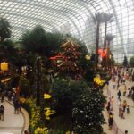 (19.08.2017) Muzyczne podróże. Azjatyckie tygrysy. / Ola Gołuzd / Singapur