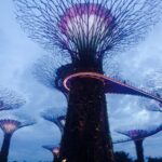 (19.08.2017) Muzyczne podróże. Azjatyckie tygrysy. / Ola Gołuzd / Singapur