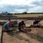 Książnice. Widok na wykop archeologiczny / Stanisław Wilk / Książnice. Widok na wykop archeologiczny
