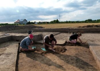 Książnice. Widok na wykop archeologiczny / Stanisław Wilk / Książnice. Widok na wykop archeologiczny