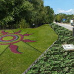 Wizualizacje rozbudowy skwerów w Busku - Zdroju. / Urząd  Miasta i Gminy w Busku - Zdroju / Rozbudowa skwerów w Busku - Zdroju.