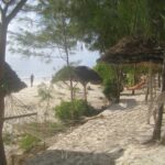 (12.08.2017) - Muzyczne Podróże - Zanzibar / Zdzisław Piasta / Zanzibar