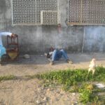 (12.08.2017) - Muzyczne Podróże - Zanzibar / Zdzisław Piasta / Zanzibar