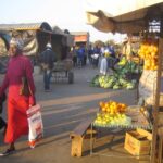 (12.08.2017) - Muzyczne Podróże - Zimbabwe / Zdzisław Piasta / Zimbabwe