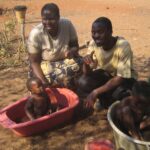 (12.08.2017) - Muzyczne Podróże - Zimbabwe / Zdzisław Piasta / Zimbabwe