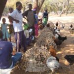 (12.08.2017) - Muzyczne Podróże - Zimbabwe / Zdzisław Piasta / Zimbabwe