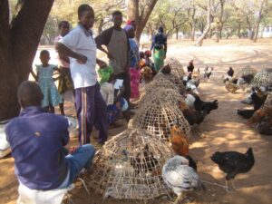 (12.08.2017) - Muzyczne Podróże - Zimbabwe / Zdzisław Piasta / Zimbabwe