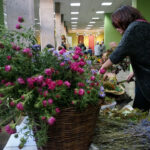 Jędrzejów. Wieczór poetycko-muzyczny „Pamiętajcie o ogrodach” / Ewa Pociejowska-Gawęda / Radio Kielce