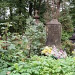 Cmentarz parafialny. Odnowienie nagrobka Salomei Skłodowskiej, babki Marie-Curie Skłodowskiej. Najstarsza część cmentarza / Bartłomiej Zapała / Radio Kielce