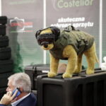 05.09.2017 Kielce. Międzynarodowy Salon Przemysłu Obronnego. MSPO / Jarosław Kubalski  /  Radio Kielce / Kielce. Międzynarodowy Salon Przemysłu Obronnego. MSPO