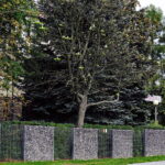 11.09.2017 Kielce. Przed budynkiem Radia Kielce zakwitł kasztanowiec. / Jarosław Kubalski / Radio Kielce