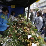 24.09.2017 Kielce. Piknik Polskich Lasów Państwowych "Dary Świętokrzyskich Lasów" / Jarosław Kubalski / Radio Kielce